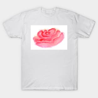 Pink watercolor rose flower, red bloom, art decoration, sketch. Illustration hand drawn modern T-Shirt